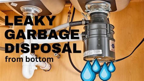 Garbage Disposal Leaking from Bottom: Quick Fix Solutions!